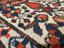 Load image into Gallery viewer, Persian Baktiari - 7x10
