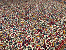 Load image into Gallery viewer, Persian Birjand - 7x10
