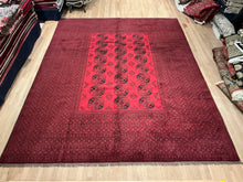 Load image into Gallery viewer, Afghan Bukhara - 9'8” X 12'10”
