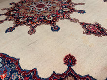Load image into Gallery viewer, Persian Birjand - 7x10
