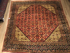 Old Persian Sarouk - Square 9' x 10'